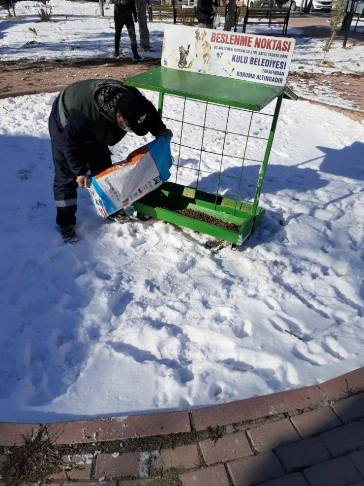 Kulu’da sokak hayvanları unutulmadı