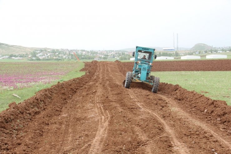 Altınyayla’da arazi toplulaştırma çalışmaları