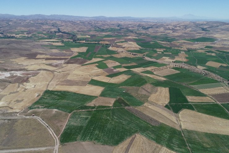 Altınyayla’da arazi toplulaştırma çalışmaları