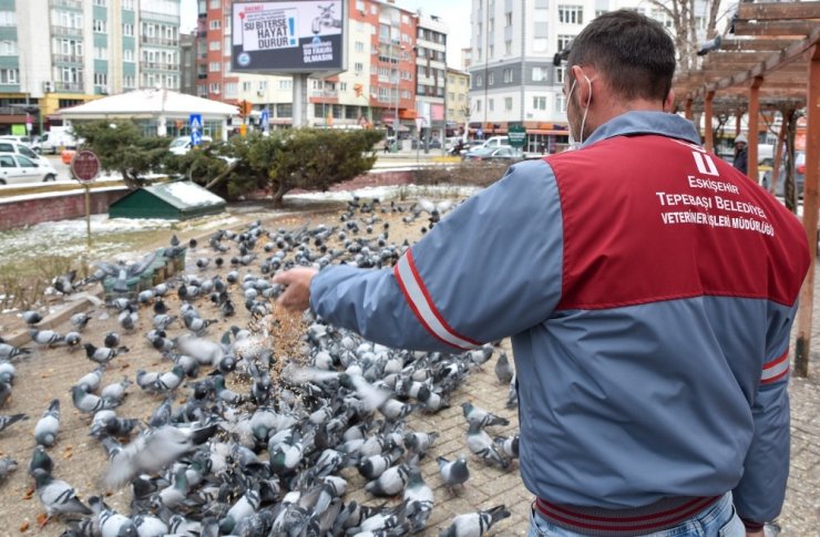 Sokaktaki canlar aç bırakılmıyor