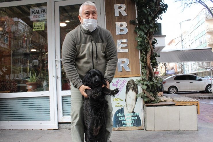 Çevreci köpek ‘Zeytin’ alışverişini kendisi yapıyor