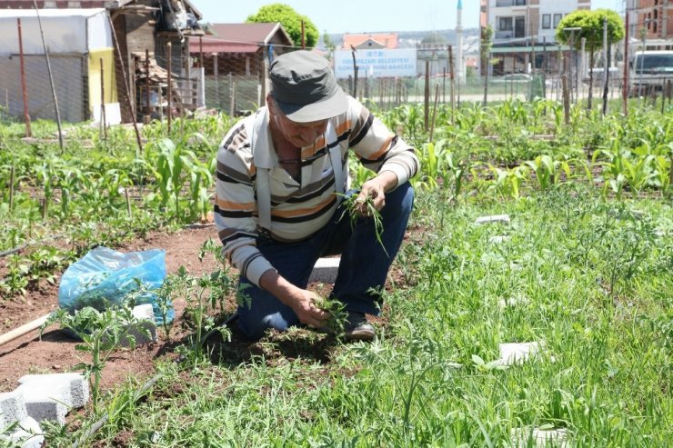 Hobi bahçeleri için kura çekilişi yapılacak