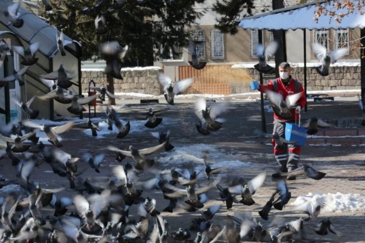 Kocasinan Belediyesi’nden sokak hayvanları için seferberlik