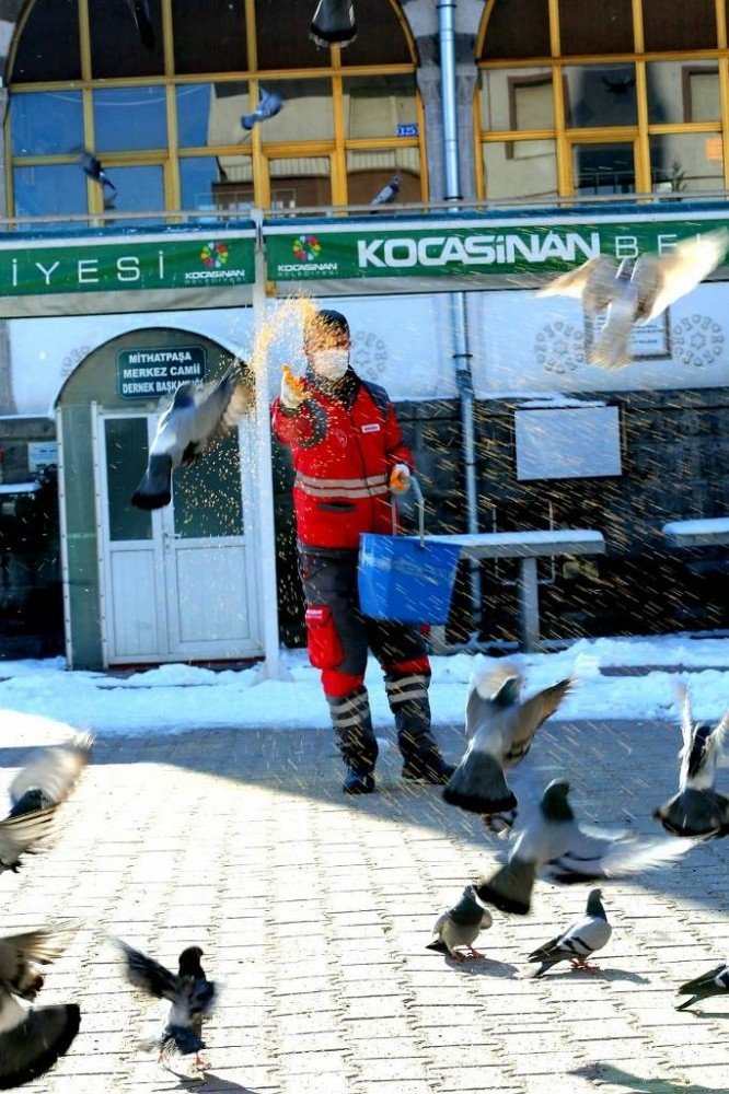 Kocasinan Belediyesi’nden sokak hayvanları için seferberlik