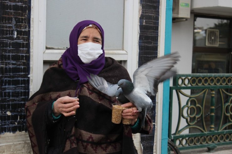 Vatandaşların beslediği güvercinlerin renkli görüntüsü