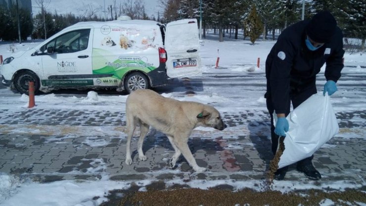 Niğde Belediyesi, sokak hayvanları için mama bıraktı