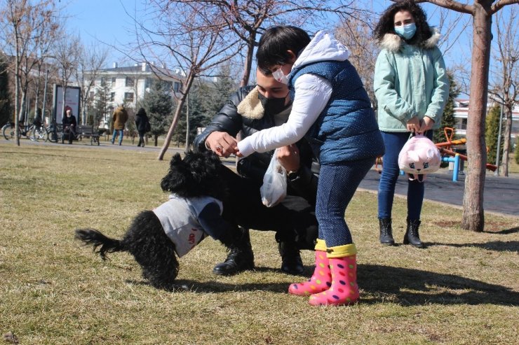 Güneşi gören parklara döküldü