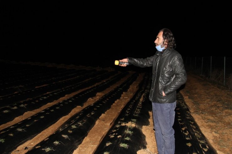 Konya’da tarla sulamak için kurulan güneş panellerini çalan hırsız bir ilçeyi bezdirdi