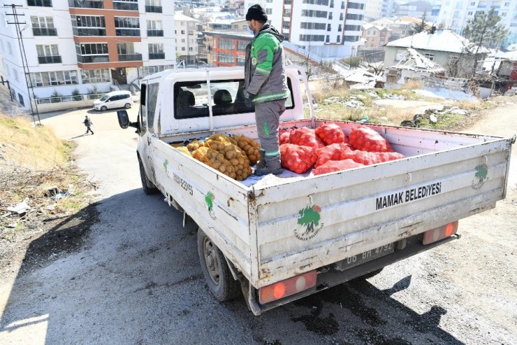 Mamak’ta ihtiyaç sahibi ailelere soğan dağıtıldı