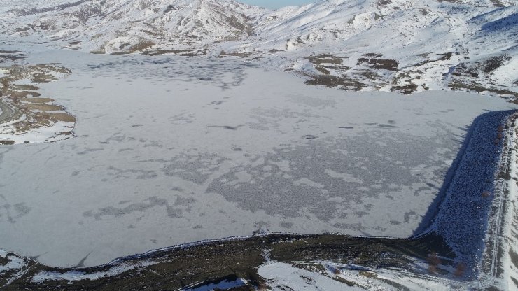 Sibirya soğuklarının etkisiyle dondu, kırağı ile gözden kayboldu