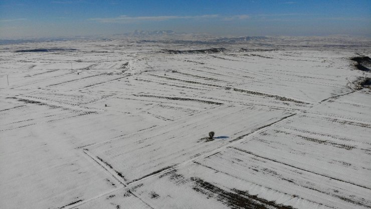 Aksaray’da çiftçilerin umudu bahar yağmurları oldu