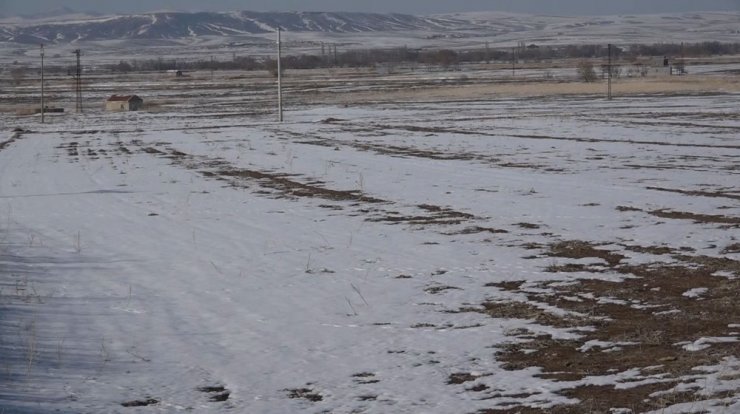 Aksaray’da çiftçilerin umudu bahar yağmurları oldu