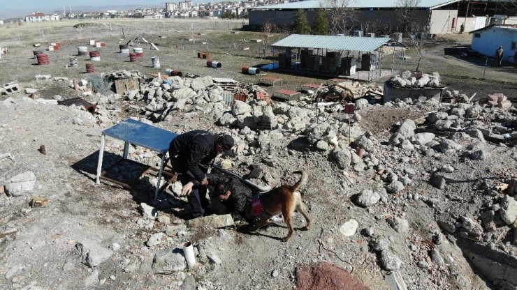 Hassas burunlar depremde can kurtarıyor