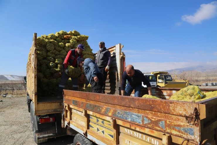 Develi’de ihtiyaç sahiplerine patates dağıtımına başlandı