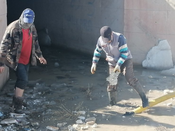 Su dolu menfezden geçen 7 koyun boğularak telef oldu