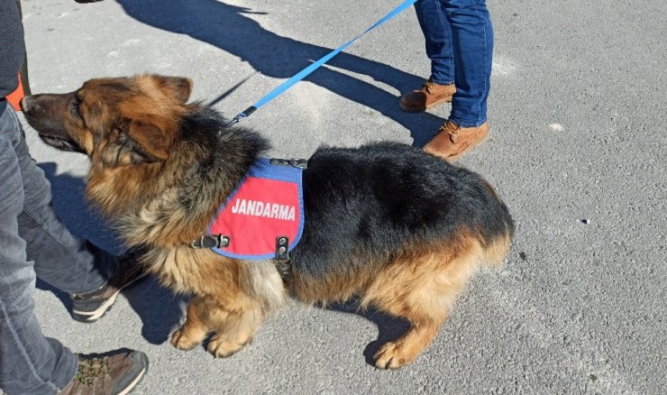 Aksaray jandarması detektör Sala ile uygulamada