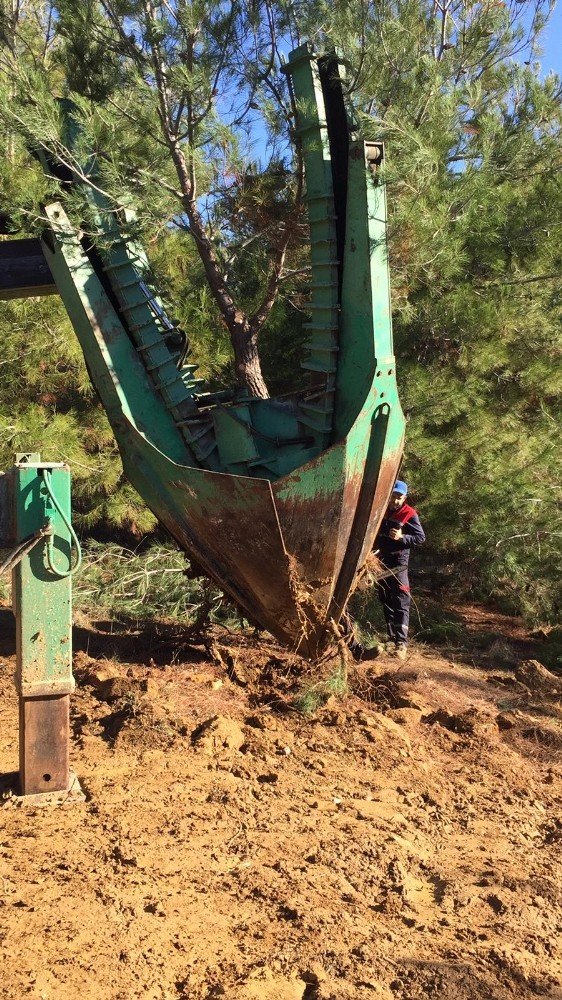 BOTAŞ’tan Saros Körfezi’nde gerçekleştirdiği proje alanına 100 bin ağaç