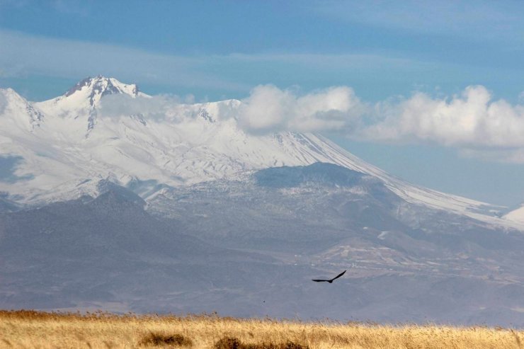 Kuş Cenneti’nde göç hareketliliği başladı