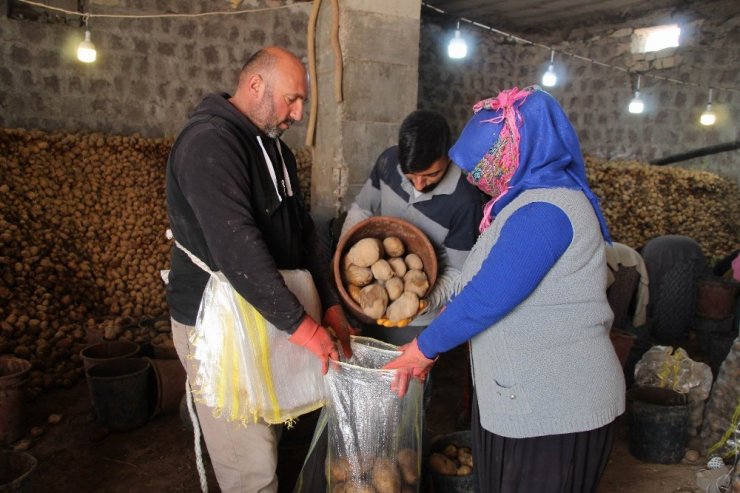 Bağcılar Belediyesi, Nevşehir’den 100 ton patates aldı