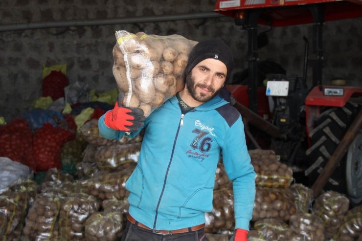 Bağcılar Belediyesi, Nevşehir’den 100 ton patates aldı