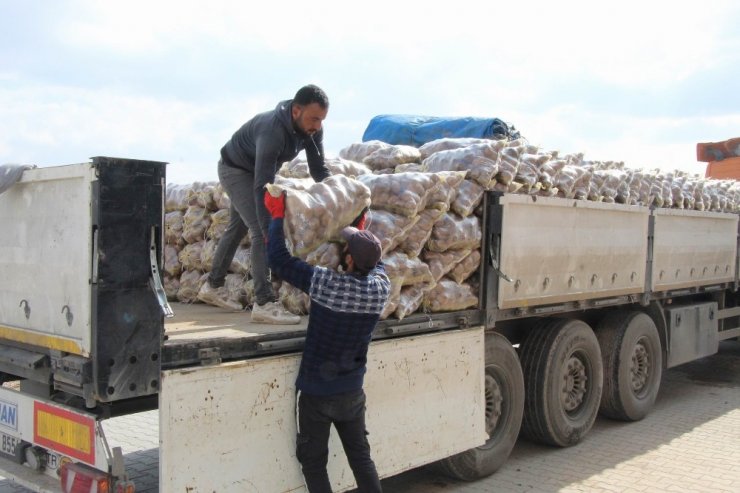 Bağcılar Belediyesi, Nevşehir’den 100 ton patates aldı