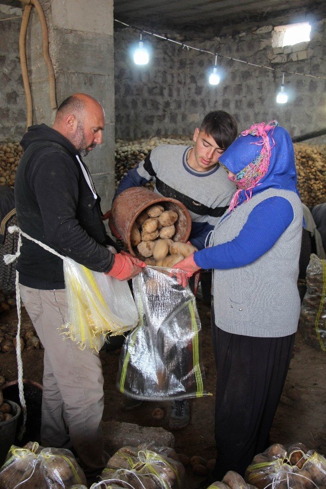 Bağcılar Belediyesi, Nevşehir’den 100 ton patates aldı