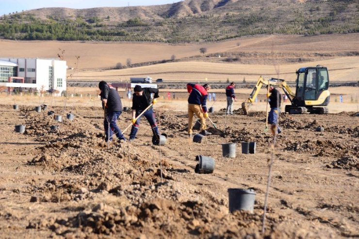 Modern tarım laboratuvarında yetiştirilen meyveler ihtiyaç sahiplerine dağıtılacak