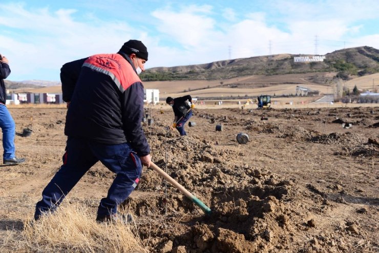 Modern tarım laboratuvarında yetiştirilen meyveler ihtiyaç sahiplerine dağıtılacak