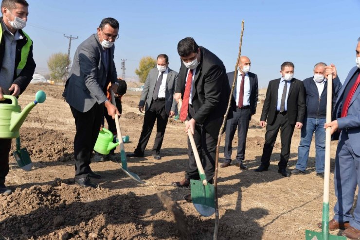 Modern tarım laboratuvarında yetiştirilen meyveler ihtiyaç sahiplerine dağıtılacak