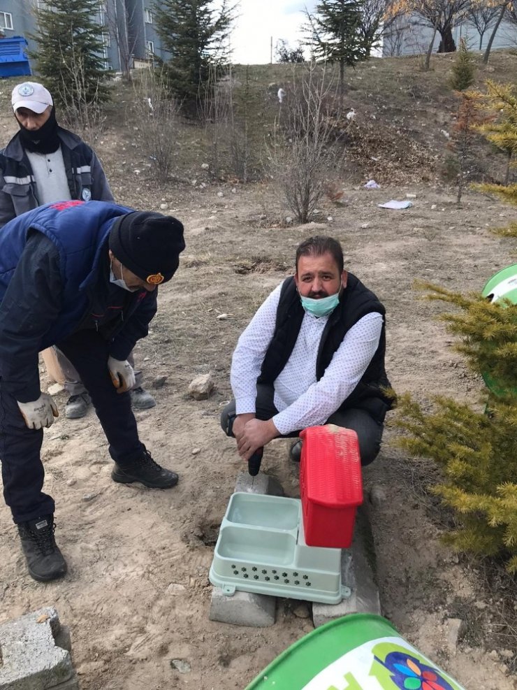 ’Bilinçli İnsanlar Atıksız Konutlar Projesi’ ekibinden sokak hayvanları için çalışma