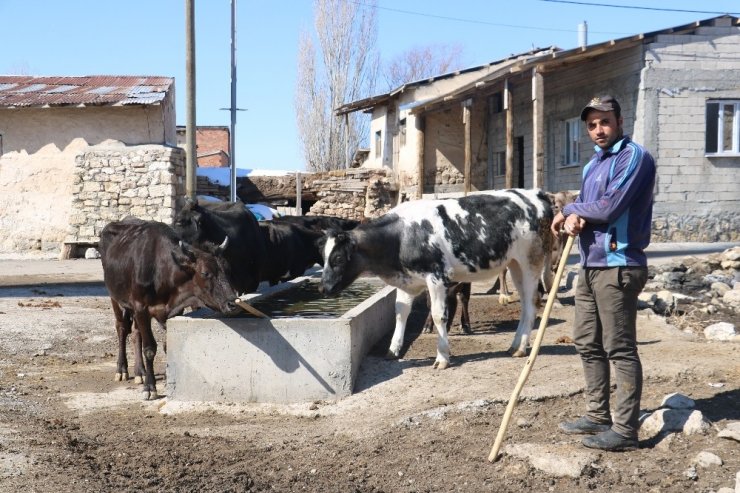 Yıllardır bekliyorlardı, istekleri oldu