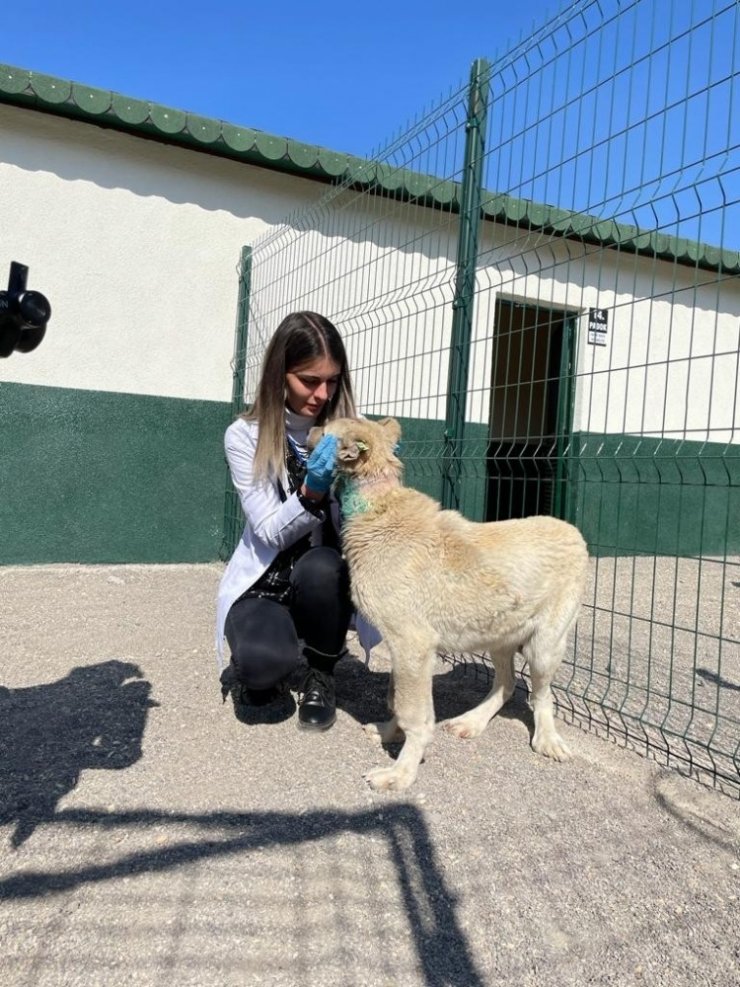 Sincan Belediye Başkanı Ercan ’Dünya Kadınlar Günü’nü’ kutladı