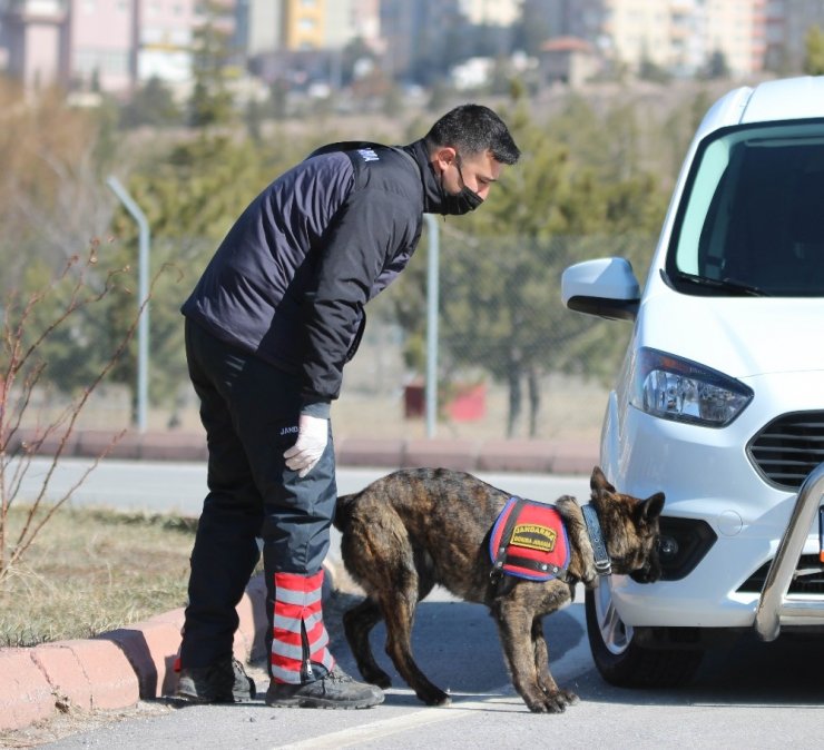 Jandarmanın ’hassas burunları’ suçları aydınlatıyor