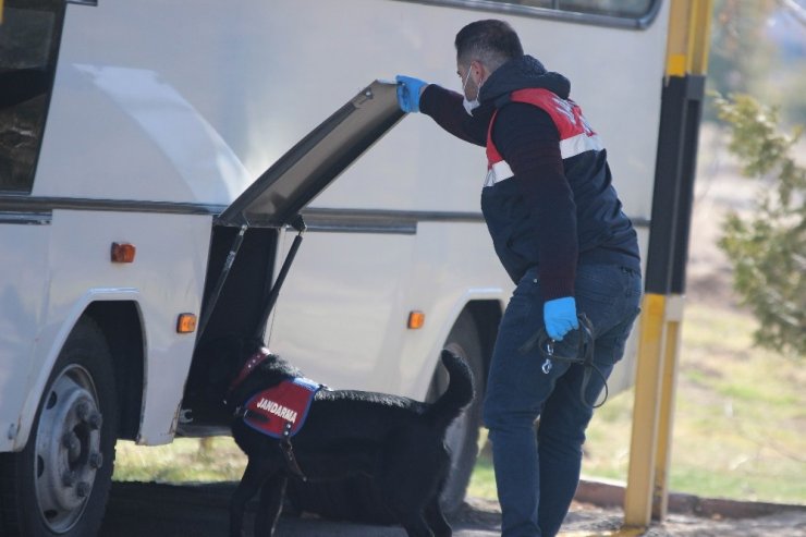 Jandarmanın ’hassas burunları’ suçları aydınlatıyor