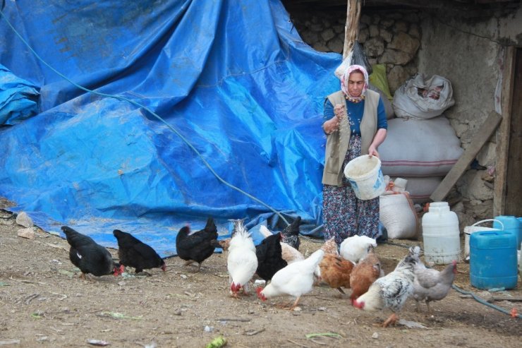 Eşek sırtındaki eşine kadınlar günü sürprizi