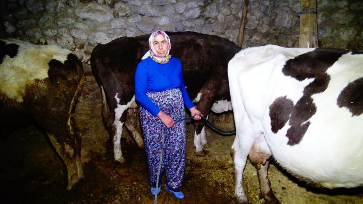 Eşek sırtındaki eşine kadınlar günü sürprizi