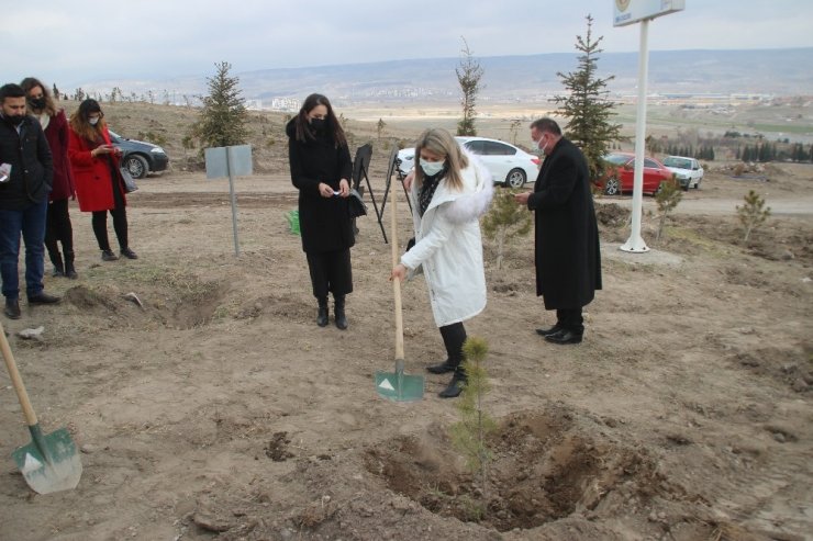 Kayseri Barosu Kadınlar Günü’nde ağaç dikti