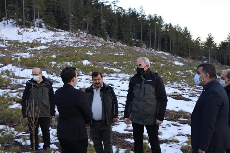 Orman Genel Müdürü Bekir Karacabey Beyşehir’de