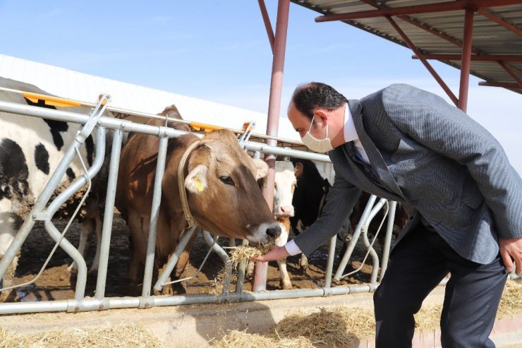 Konya Büyükşehir ve SÜ’den Konya tarımı için örnek iş birliği