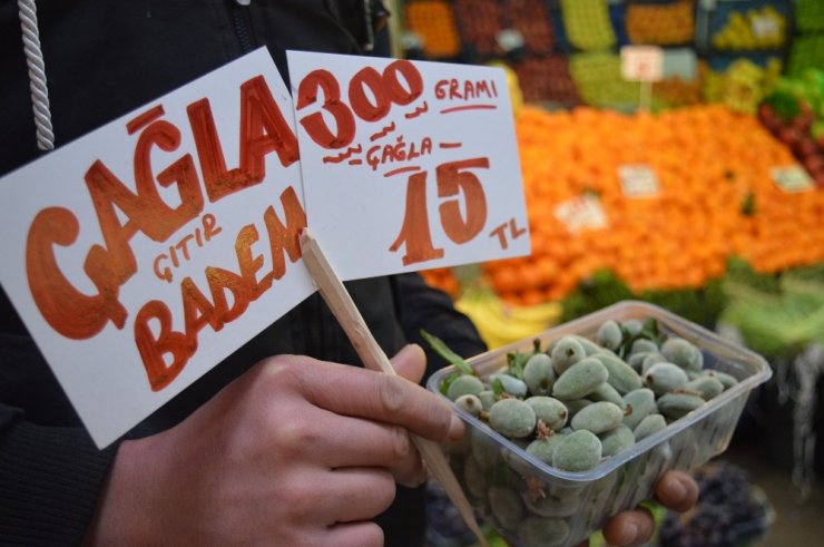 Çağla sezonu 50 TL’den açtı