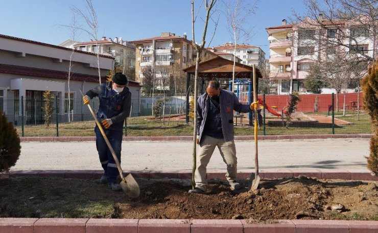 Keçiören’de ağaçlar öğrencilere emanet