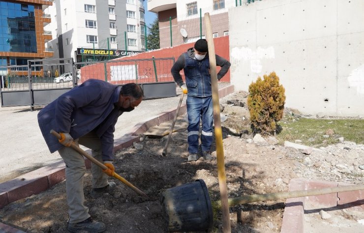 Keçiören’de ağaçlar öğrencilere emanet