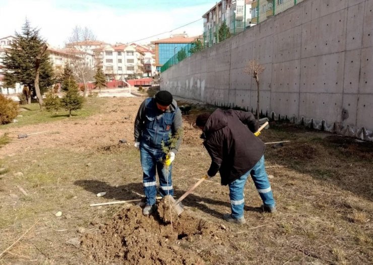 Keçiören’de ağaçlar öğrencilere emanet