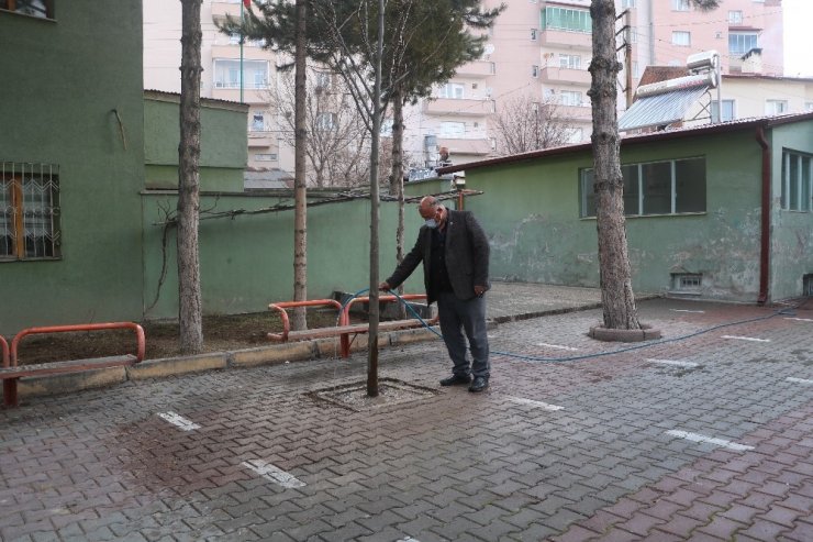 Yaptığıyla hayrete düşüren kadının kırdığı ağacın yerine ıhlamur ağacı dikildi