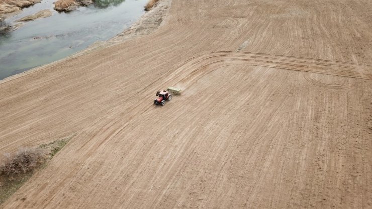 Atıl tarım arazileri üretime kazandırılıyor: 160 kilogram tohumdan 13 ton çörekotu elde edilecek