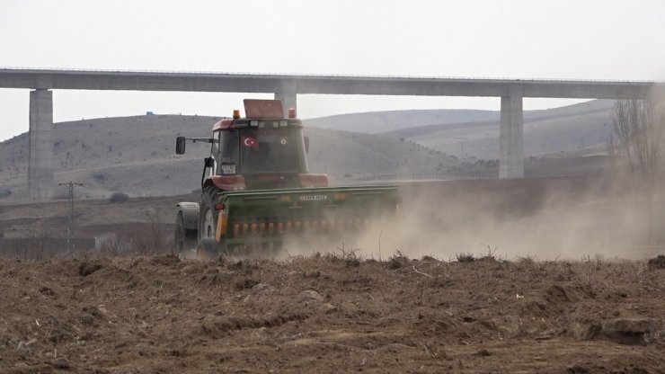 Atıl tarım arazileri üretime kazandırılıyor: 160 kilogram tohumdan 13 ton çörekotu elde edilecek