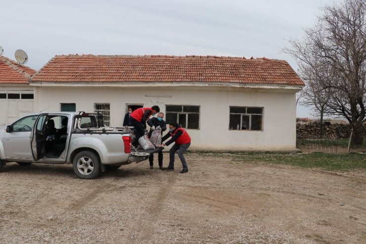 Köpekleriyle köyünden kovulan engelli gence Vali Aydoğdu sahip çıktı