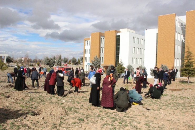 AK Parti, sağlık çalışanları anısına hastane bahçesine fidan dikti