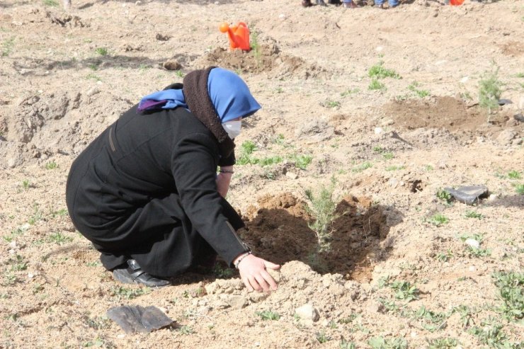 AK Parti, sağlık çalışanları anısına hastane bahçesine fidan dikti