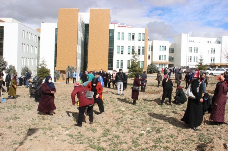 AK Parti, sağlık çalışanları anısına hastane bahçesine fidan dikti